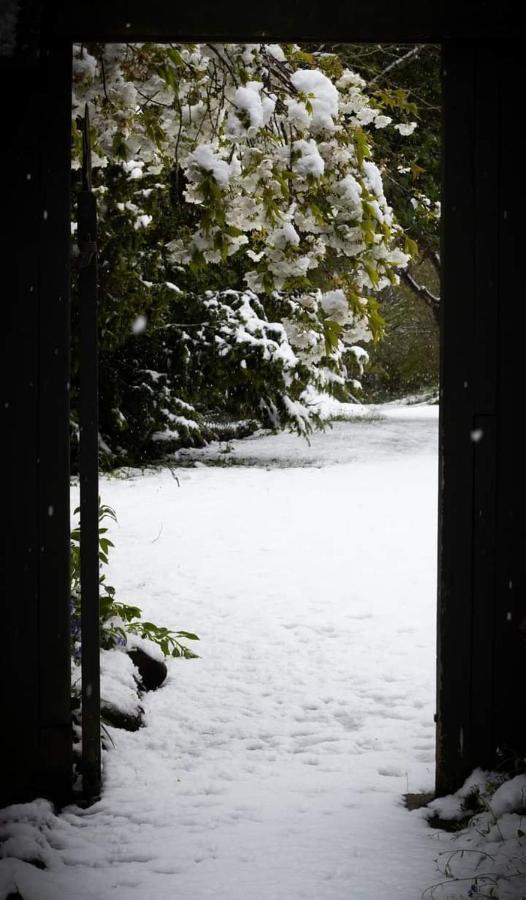 Arden Country House Bnb - Entire House To Yourself -Peace In The Country ดะนีดิน ภายนอก รูปภาพ