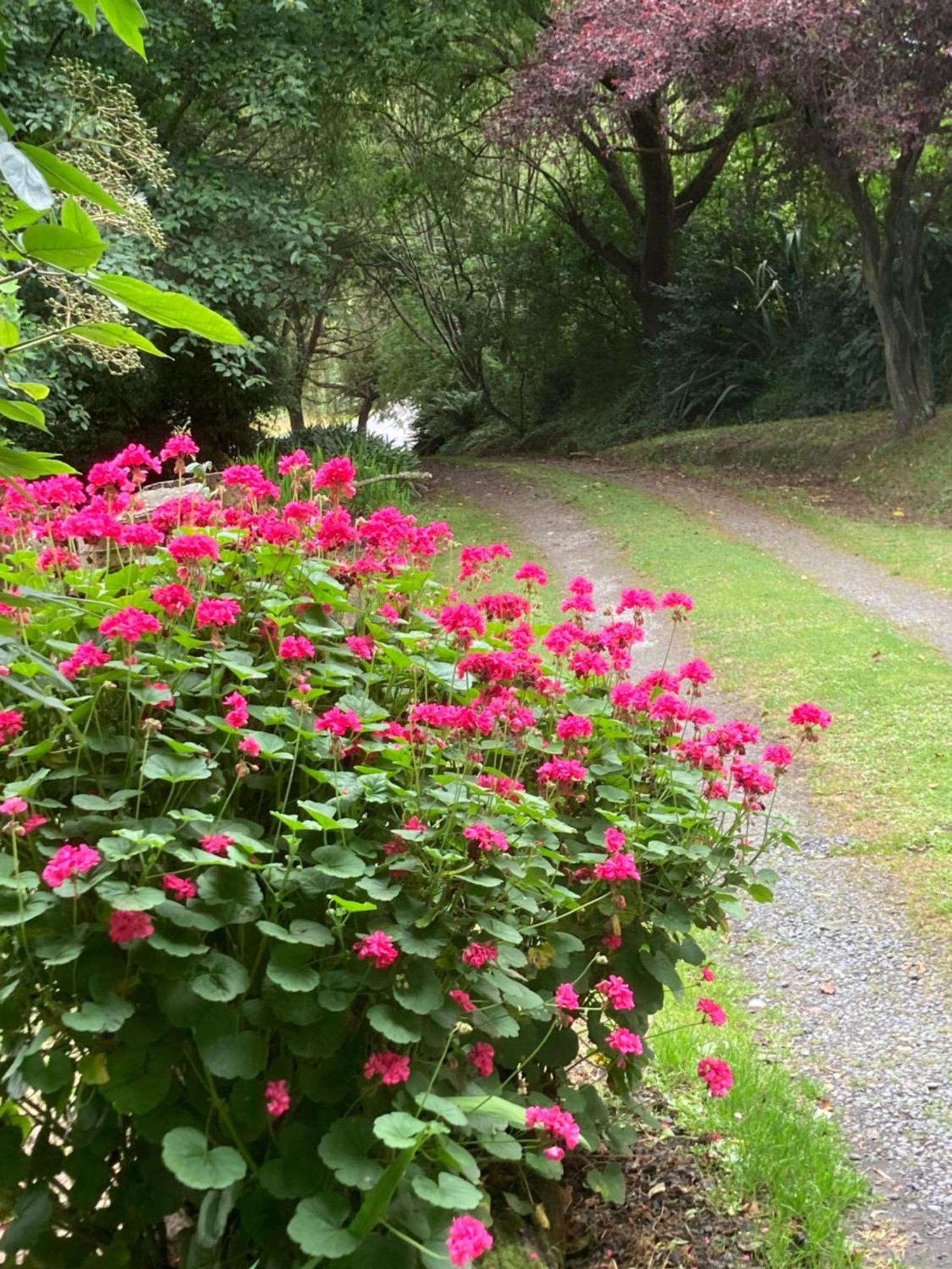 Arden Country House Bnb - Entire House To Yourself -Peace In The Country ดะนีดิน ภายนอก รูปภาพ