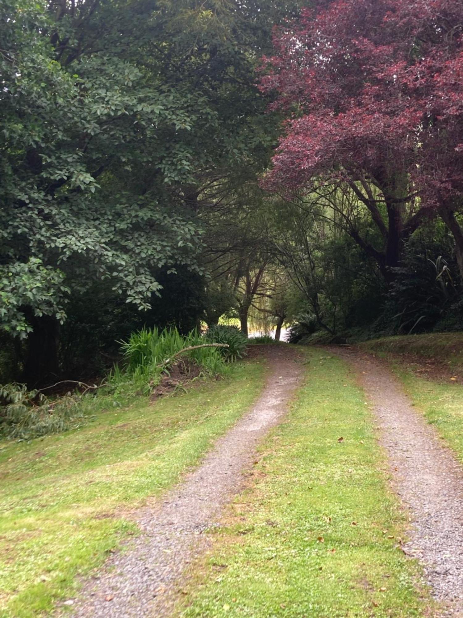 Arden Country House Bnb - Entire House To Yourself -Peace In The Country ดะนีดิน ภายนอก รูปภาพ